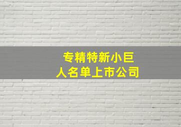 专精特新小巨人名单上市公司