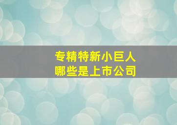 专精特新小巨人哪些是上市公司