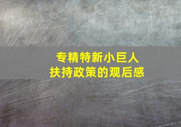 专精特新小巨人扶持政策的观后感