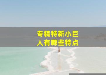 专精特新小巨人有哪些特点