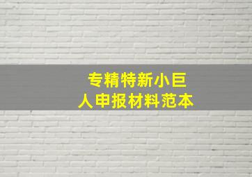 专精特新小巨人申报材料范本