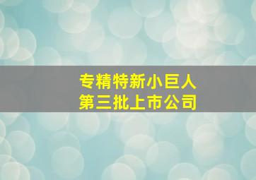 专精特新小巨人第三批上市公司