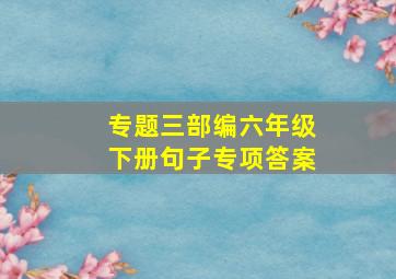 专题三部编六年级下册句子专项答案