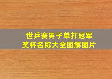 世乒赛男子单打冠军奖杯名称大全图解图片