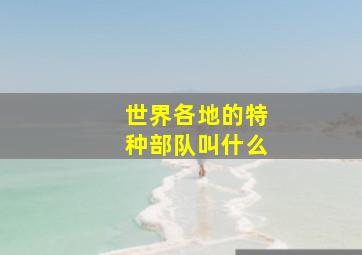 世界各地的特种部队叫什么