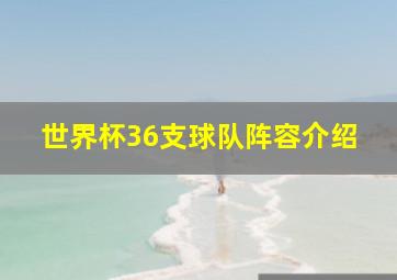 世界杯36支球队阵容介绍