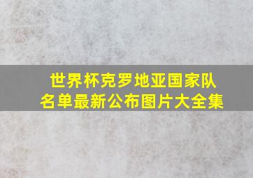 世界杯克罗地亚国家队名单最新公布图片大全集