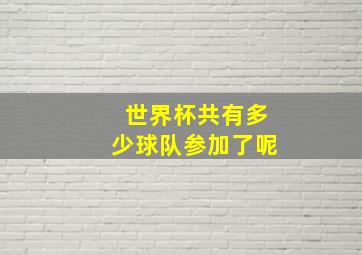 世界杯共有多少球队参加了呢