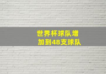 世界杯球队增加到48支球队