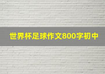 世界杯足球作文800字初中