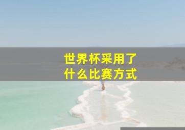 世界杯采用了什么比赛方式