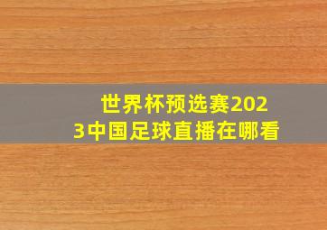 世界杯预选赛2023中国足球直播在哪看