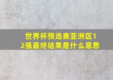 世界杯预选赛亚洲区12强最终结果是什么意思