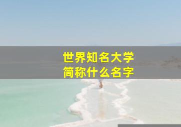 世界知名大学简称什么名字