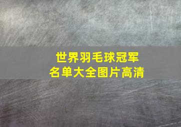 世界羽毛球冠军名单大全图片高清