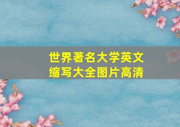 世界著名大学英文缩写大全图片高清