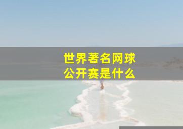 世界著名网球公开赛是什么