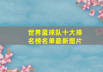 世界蓝球队十大排名榜名单最新图片