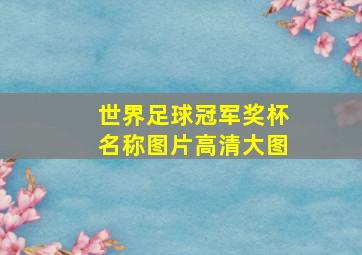 世界足球冠军奖杯名称图片高清大图