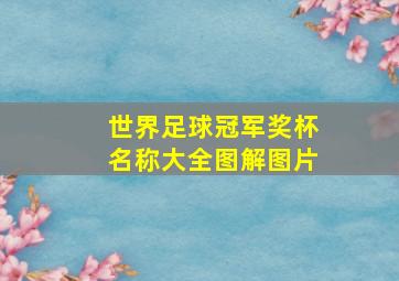 世界足球冠军奖杯名称大全图解图片