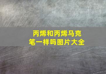 丙烯和丙烯马克笔一样吗图片大全