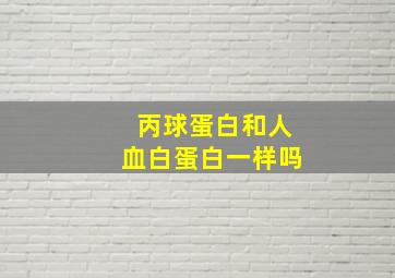 丙球蛋白和人血白蛋白一样吗