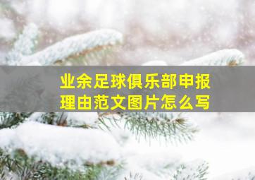 业余足球俱乐部申报理由范文图片怎么写