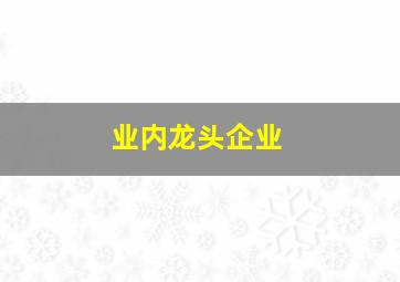 业内龙头企业