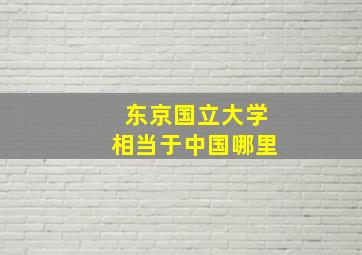 东京国立大学相当于中国哪里