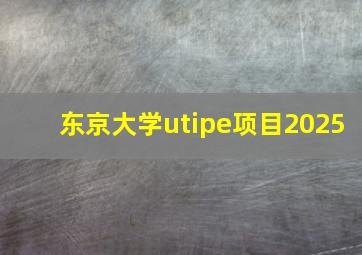 东京大学utipe项目2025