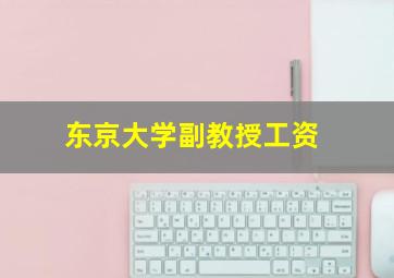 东京大学副教授工资