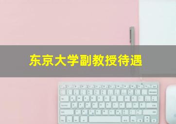 东京大学副教授待遇