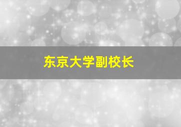 东京大学副校长