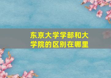 东京大学学部和大学院的区别在哪里