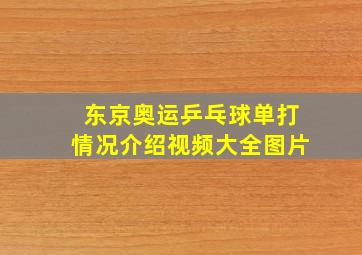 东京奥运乒乓球单打情况介绍视频大全图片