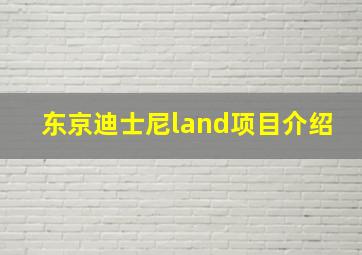 东京迪士尼land项目介绍