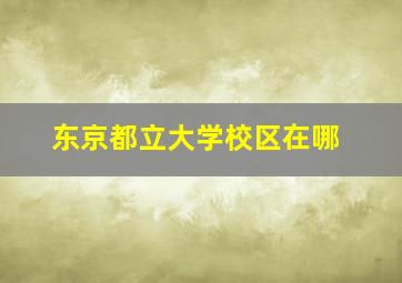 东京都立大学校区在哪