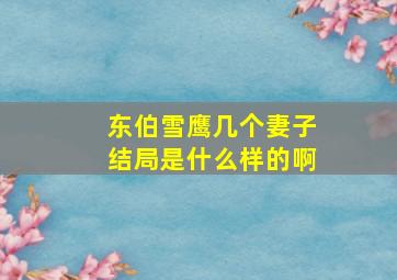 东伯雪鹰几个妻子结局是什么样的啊