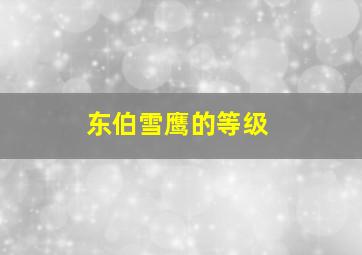 东伯雪鹰的等级