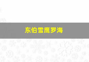 东伯雪鹰罗海