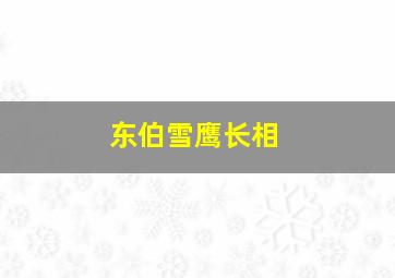 东伯雪鹰长相