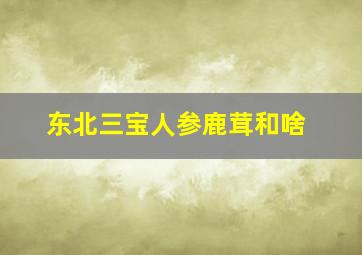 东北三宝人参鹿茸和啥