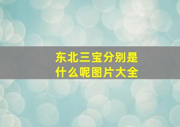 东北三宝分别是什么呢图片大全