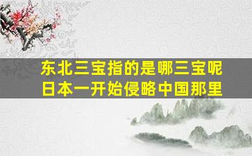 东北三宝指的是哪三宝呢日本一开始侵略中国那里