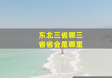 东北三省哪三省省会是哪里