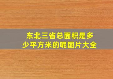 东北三省总面积是多少平方米的呢图片大全