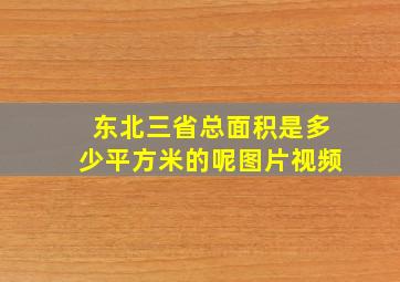 东北三省总面积是多少平方米的呢图片视频