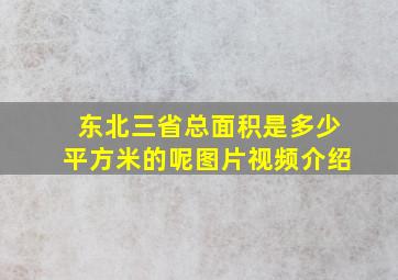 东北三省总面积是多少平方米的呢图片视频介绍