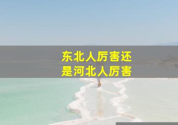 东北人厉害还是河北人厉害