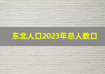 东北人口2023年总人数口